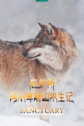 庇護所：阿尔卑斯山求生記