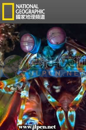 國家地理探险家系列