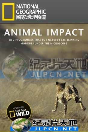 動物构造大揭密