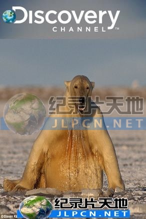 動物绝技大公開