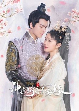 神探驸马請接嫁