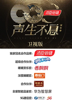 聲生不息·家年华卫視版