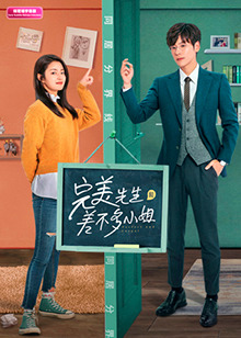 完美先生和差不多小姐印尼語字幕版