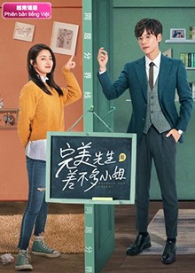 完美先生和差不多小姐越南語版