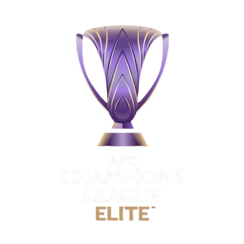 亚冠精英賽 川崎前锋vs上海申花20250312