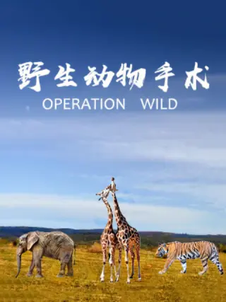 野生動物手术