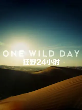 野性24小時第一季