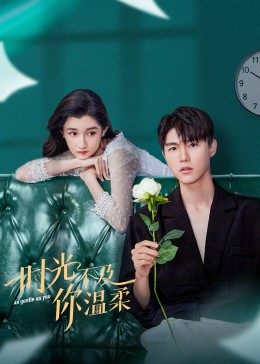 時光不及你温柔