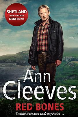 設得兰谜案第一季