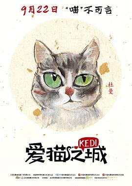 爱猫之城英語