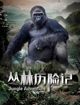 丛林歷险記2020