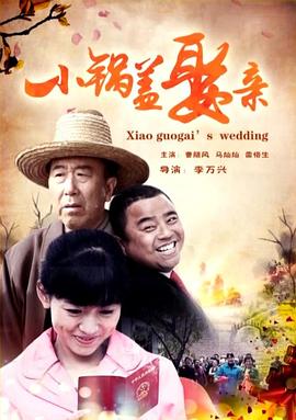 小锅盖娶亲[電影解說]