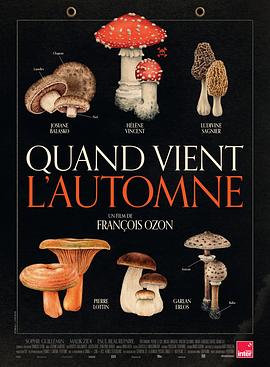 秋日何時来[電影解說]