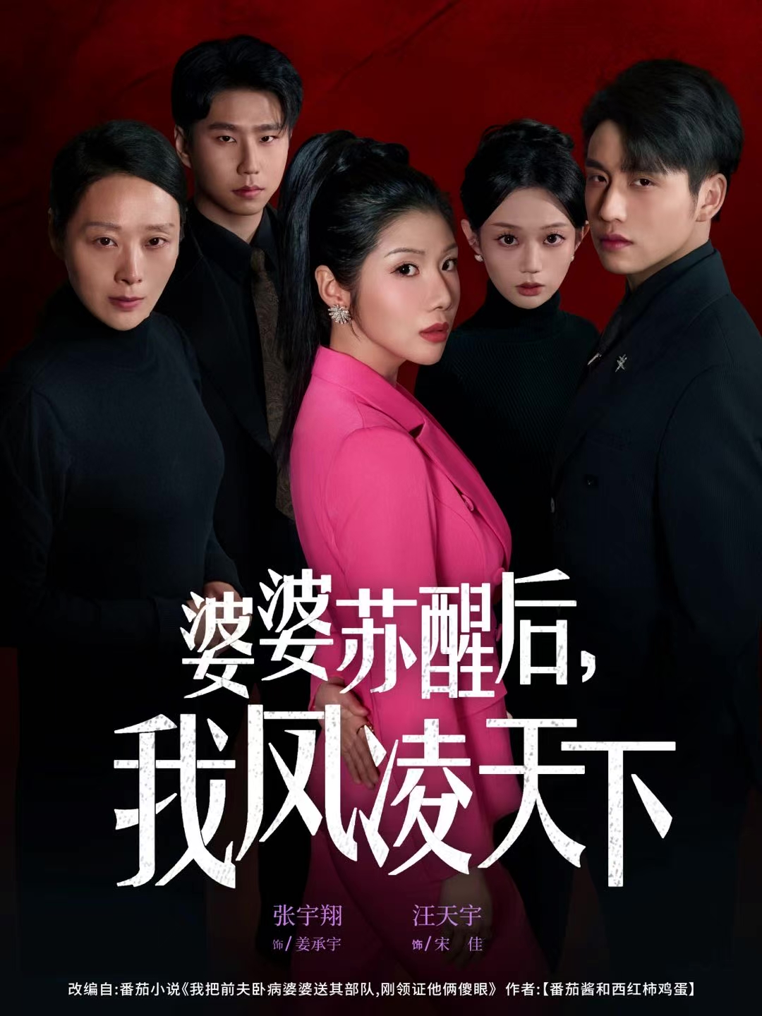 婆婆苏醒後，我凤凌天下