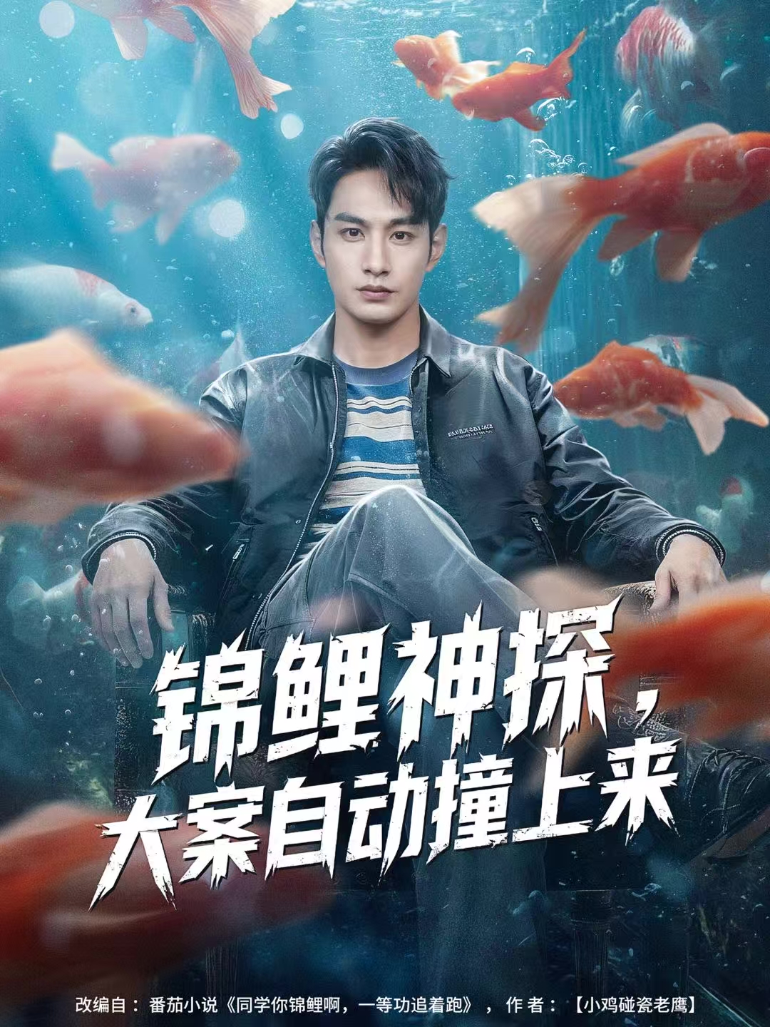 锦鲤神探，大案自動撞上来