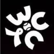 世界網球洲际对抗賽 瓦舍罗1-2卢布列夫20251227